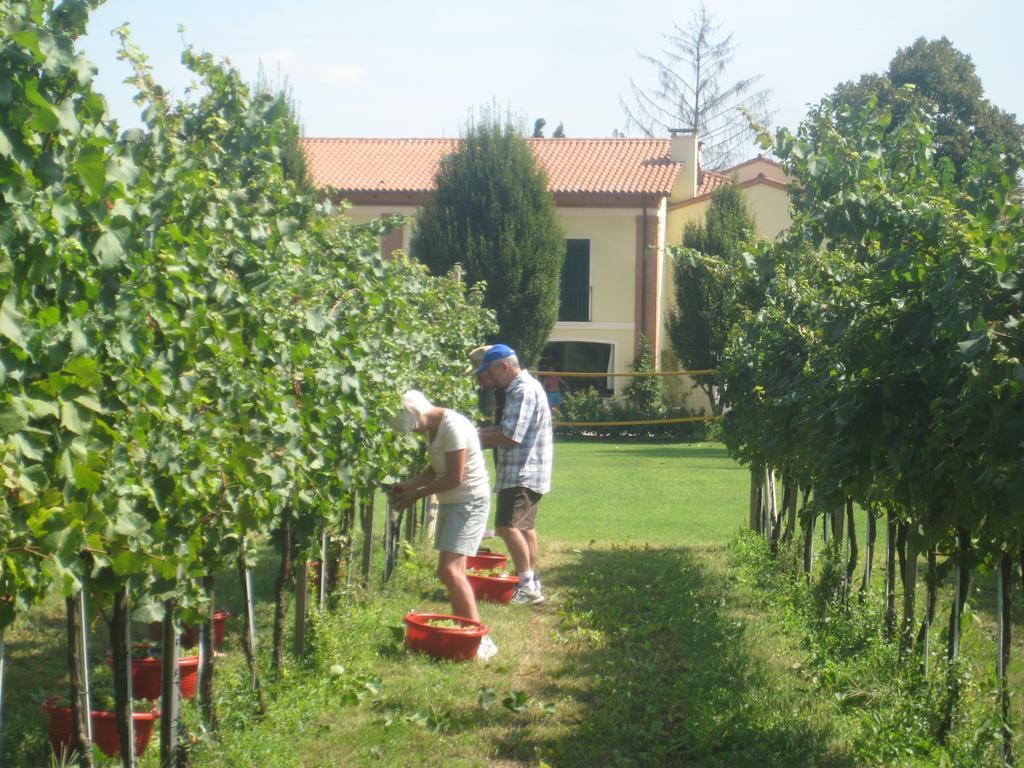 Villa Agriturismo L'Albara - Wines, Pool & Spa Villaganzerla Exterior foto